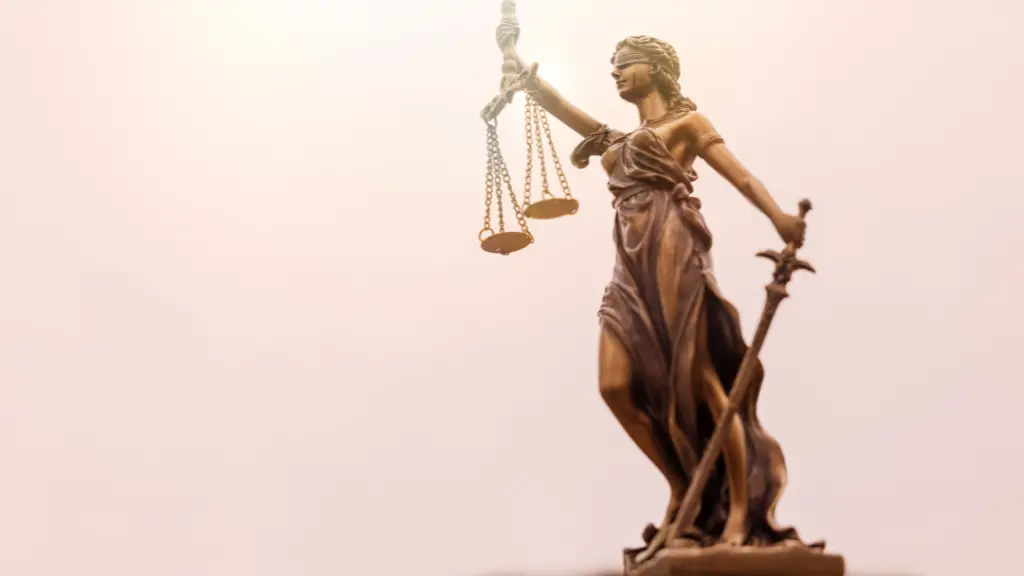 mengenal cabang ilmu hukum
